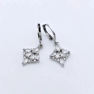 Silver Hoops Earrings